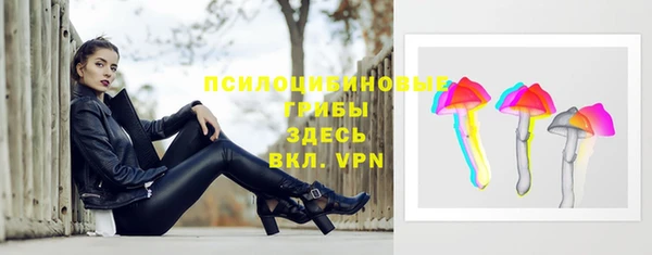 спиды Гусиноозёрск