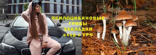 герыч Снежинск