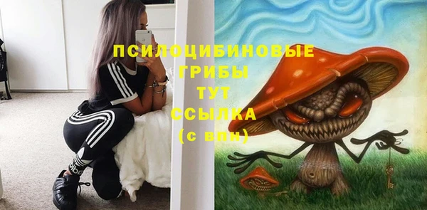 спиды Гусиноозёрск
