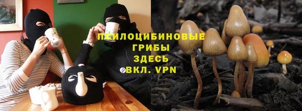 винт Гусь-Хрустальный